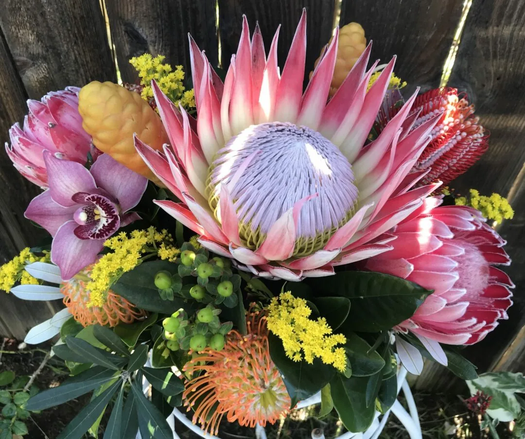 Basket centerpiece anchored by a large pink-and-lavender King Protea, ringed with pincushion proteas, a purple orchid and green berries