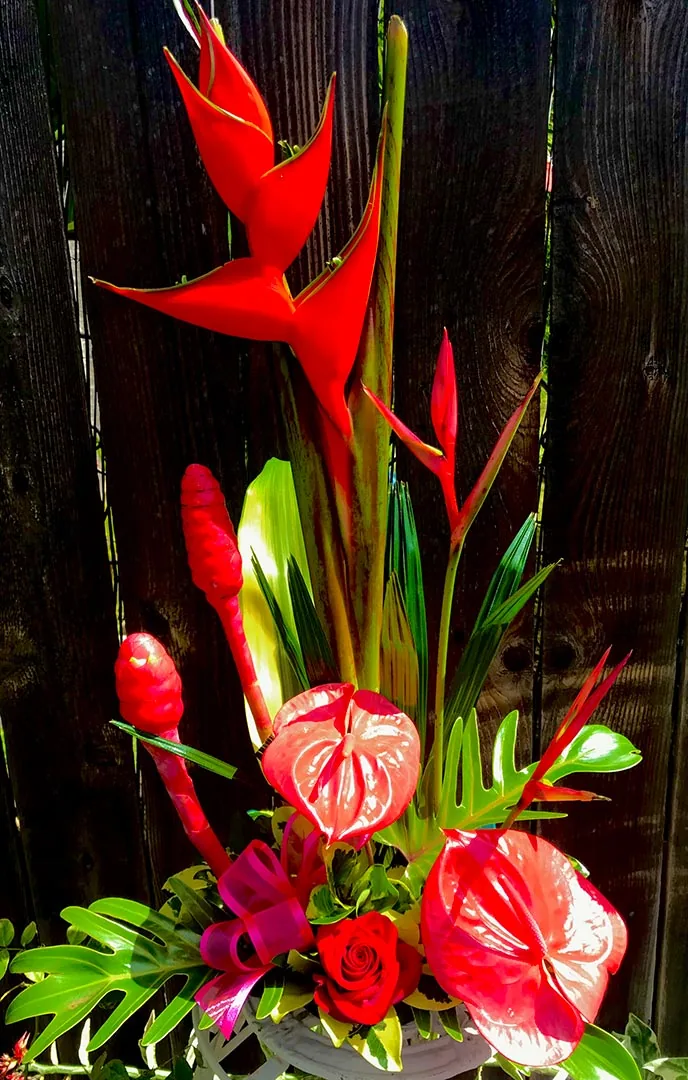 Tall all-red arrangement with lobster-claw heliconia, red anthurium, torch ginger and a single rose