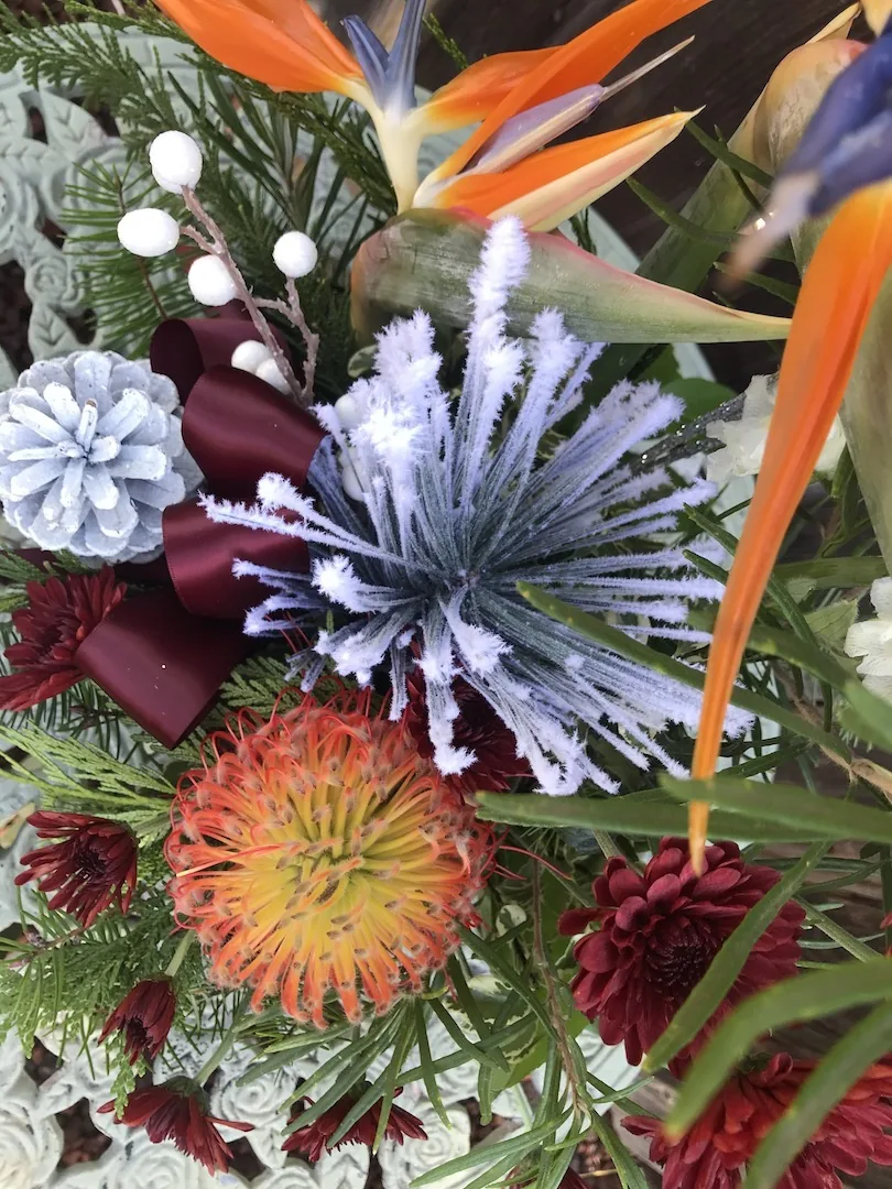 Holiday tropical arrangement with orange bird of paradise, frosted thistle, pincushion protea and burgundy accents